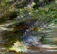 McDirtys Walking Track - Accommodation Resorts