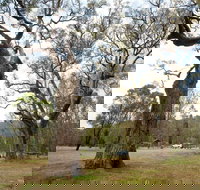 Moolarben Picnic Area - Accommodation Resorts