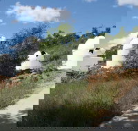 Mudgee Observatory - Accommodation Resorts