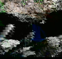 Natural Bridge Circuit Springbrook National Park - Accommodation Resorts