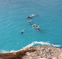 Nullarbor National Park - Accommodation Resorts