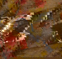 Paintball Sports - Accommodation Resorts