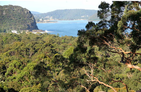 Patonga To Pearl Beach Walking Track - Accommodation Resorts 0