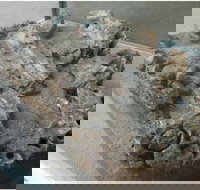 Pioneer Valley Museum - Accommodation Resorts