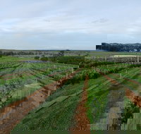 Razorback Cawdor Camden Park - Accommodation Resorts