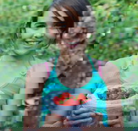 Ricardoes Tomatoes and Strawberries Farm Port Macquarie - Accommodation Resorts