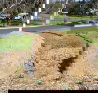 Stratford Historical Society and Museum - Accommodation Resorts