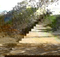 The Bloomfield Track - Accommodation Resorts