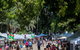The Riverside At The Botanic Gardens - thumb 0