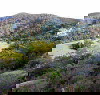 The Bellbird - Accommodation Resorts