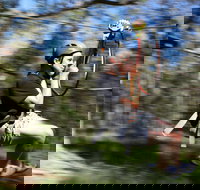 TreeTops Western Sydney - Accommodation Resorts