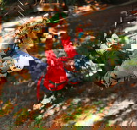 Trees Adventure - Glen Harrow Park - Accommodation Resorts