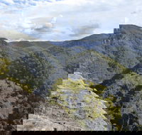Vale of Avoca - Accommodation Resorts