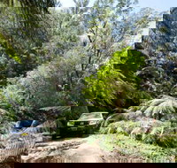 Wadbilliga Road drive - Accommodation Resorts