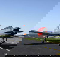 Warrior Warbirds - Open - Accommodation Resorts
