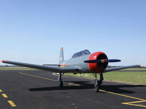 Warrior Warbirds - Open - Accommodation Resorts 0