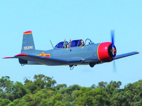 Warrior Warbirds - Open - Accommodation Resorts 1