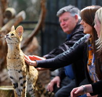 Werribee Open Range Zoo - Accommodation Resorts