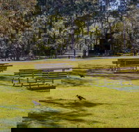 Wombeyan picnic area - Accommodation Resorts