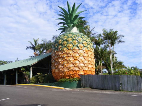 Woombye - Accommodation Resorts 0