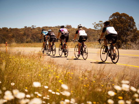 7 Peaks Ride - Dinner Plain - Accommodation Resorts 0