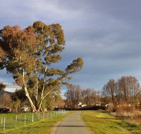 Adelong Falls Walk - Accommodation Resorts