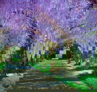 Alowyn Gardens and Nursery - Accommodation Resorts