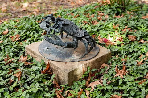 Antony Symons - Retrospective Of A Life's Work - Accommodation Resorts 0