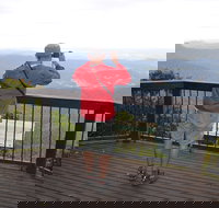 Best of All lookout track Springbrook National Park - Accommodation Resorts