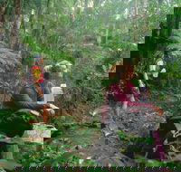 Binna Burra Lamington National Park - Accommodation Resorts