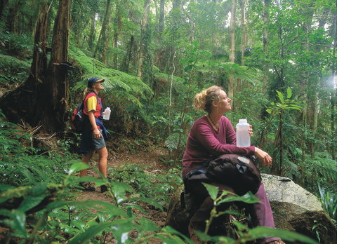 Binna Burra, Lamington National Park - Accommodation Resorts 0