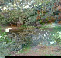 Birdwing Butterfly Walk - Accommodation Resorts