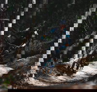 Boomerang Farm Bike Park - Accommodation Resorts