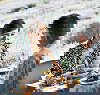 Boonah - Accommodation Resorts