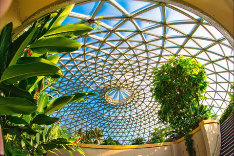 Brisbane Botanic Gardens Mount Coot-tha - Accommodation Resorts 0