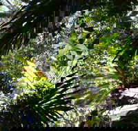Byrrill Creek Walking Track - Accommodation Resorts