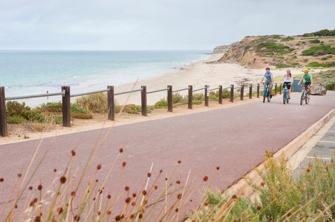 Coast To Vines Rail Trail - Accommodation Resorts 0