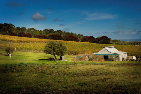 Coast To Vines Rail Trail - Accommodation Resorts 2