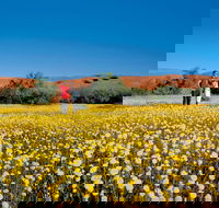 Coorow Farm Wildflower Trail - Accommodation Resorts