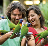 Currumbin Wildlife Sanctuary - Accommodation Resorts
