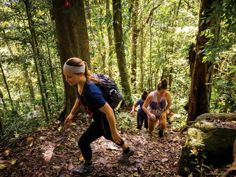 Devils Thumb (Manjal Jimalji) Trail - Accommodation Resorts 0