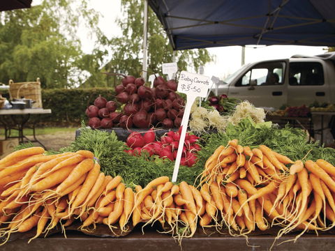 Evandale - Accommodation Resorts 1