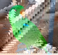 Eyre Reptile  Wildlife Park - Accommodation Resorts