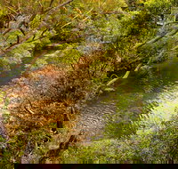 Girrakool loop track - Accommodation Resorts