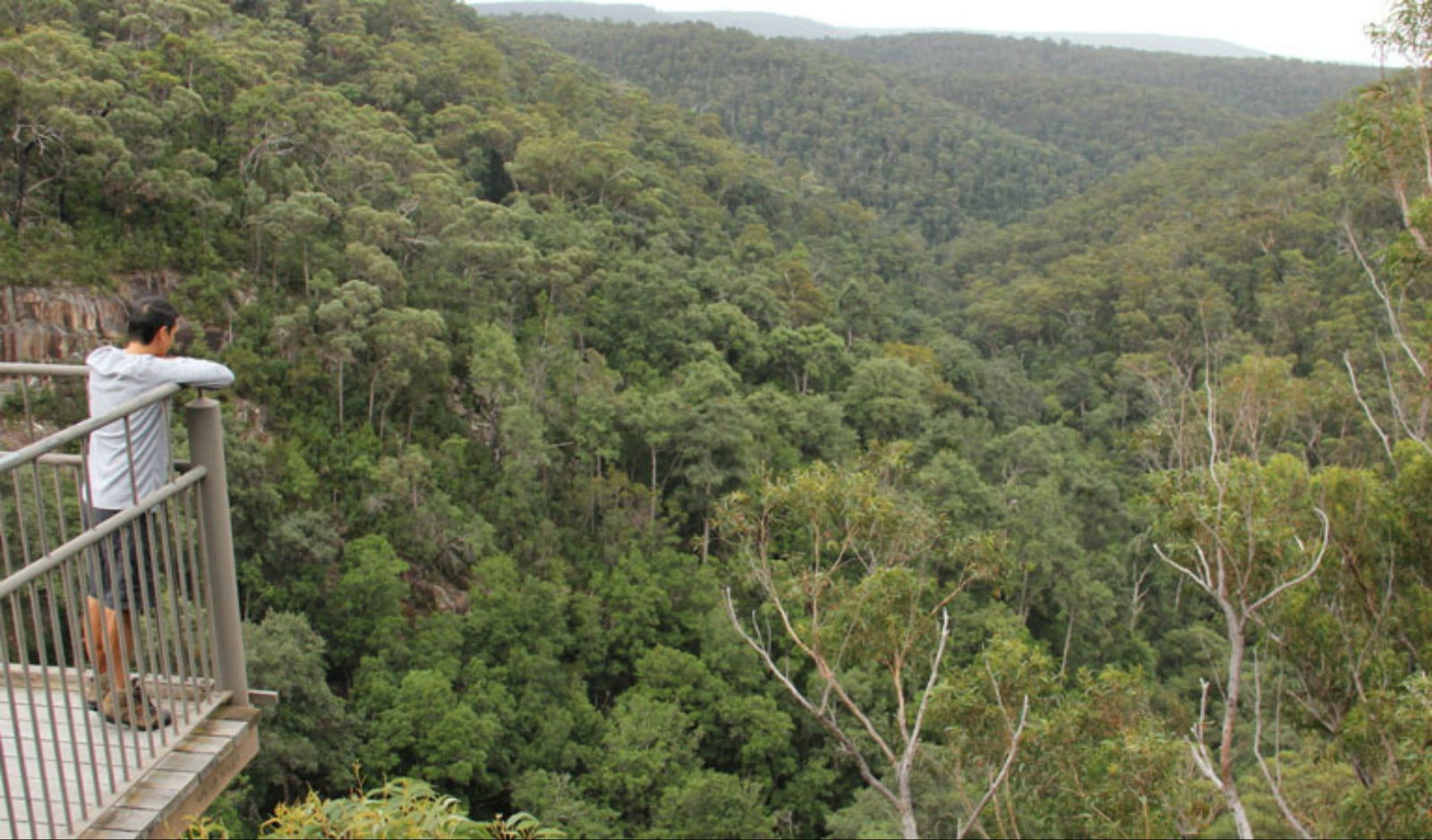 Twelve Mile Peg NSW Accommodation Resorts