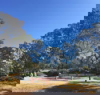 Grenfell Endemic Garden - Accommodation Resorts