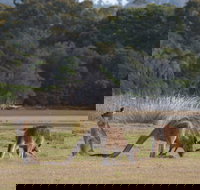 Great Nature Trail - Accommodation Resorts