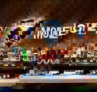 Holey Moley Wollongong - Accommodation Resorts