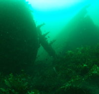 Investigator Strait Shipwreck Trail - Accommodation Resorts