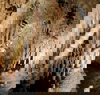 Jillabenan Cave - Accommodation Resorts